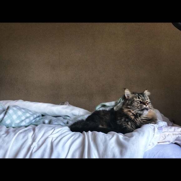 Meet your Posher, Stephanie - Picture 1 of 1